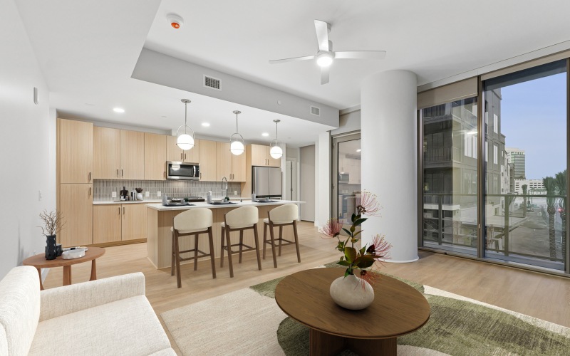 Capella Living Room & Kitchen