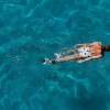 aerial view of a person swimming in a large pool